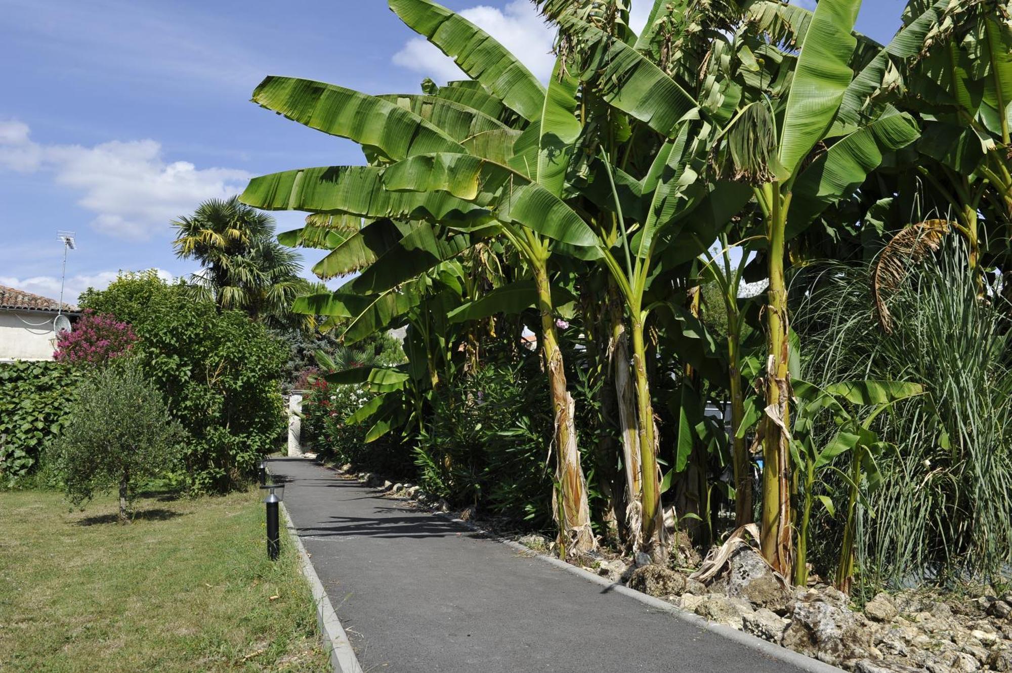 Bed & Breakfast Jardin D'arcy - D'hotes Avec Piscine Et